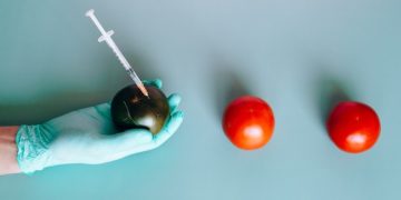 sons of anakim - medical fruits