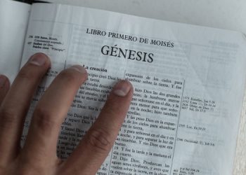 what is the law of sin and death